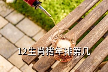 12生肖猪年排第几