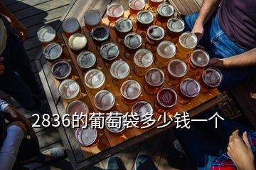 2836的葡萄袋多少钱一个