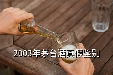 2003年茅台酒真假鉴别