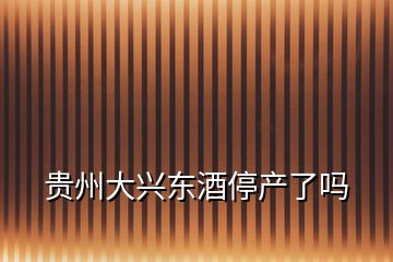 贵州大兴东酒停产了吗