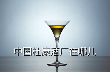 中国杜康酒厂在哪儿