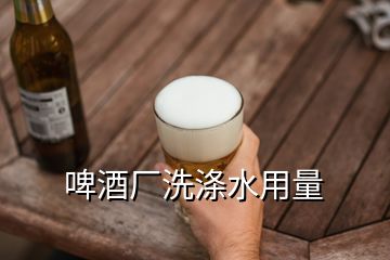 啤酒厂洗涤水用量