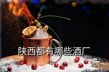 陕西都有哪些酒厂