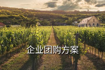 企业团购方案