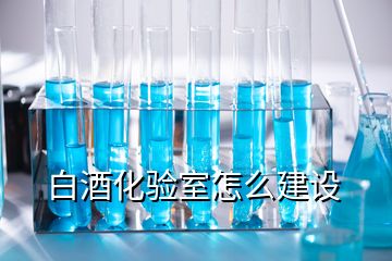 白酒化验室怎么建设