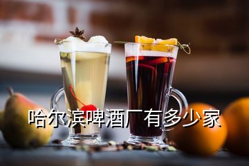 哈尔滨啤酒厂有多少家