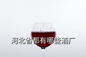 河北省都有哪些酒厂