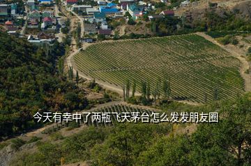 今天有幸中了两瓶飞天茅台怎么发发朋友圈