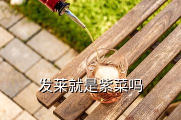 发莱就是紫菜吗