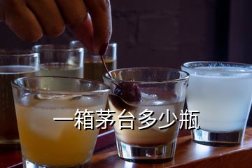 一箱茅台多少瓶