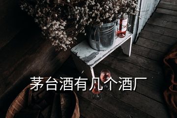 茅台酒有几个酒厂