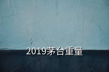 2019茅台重量