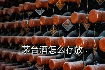 茅台酒怎么存放