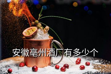 安徽亳州酒厂有多少个