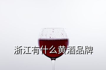 浙江有什么黄酒品牌