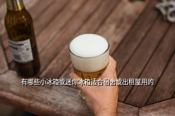 有哪些小冰箱或迷你冰箱适合宿舍或出租屋用的