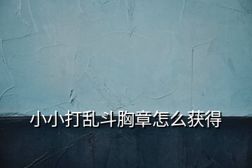 小小打乱斗胸章怎么获得