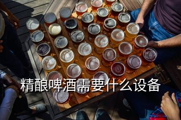 精酿啤酒需要什么设备