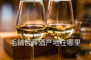 毛铺苦荞酒产地在哪里