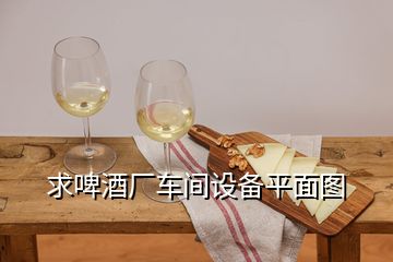 求啤酒厂车间设备平面图