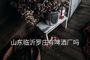 山东临沂罗庄有啤酒厂吗