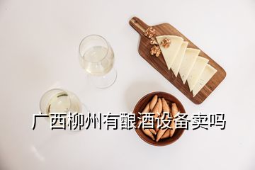 广西柳州有酿酒设备卖吗