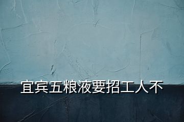 宜宾五粮液要招工人不