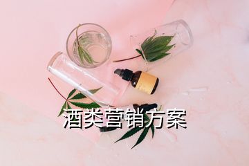 酒类营销方案