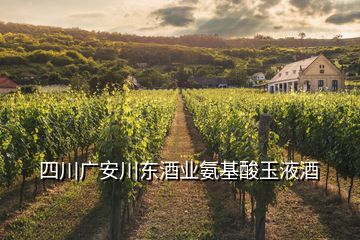 四川广安川东酒业氨基酸玉液酒