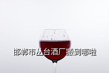 邯郸市丛台酒厂搬到哪啦