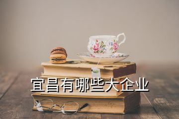 宜昌有哪些大企业