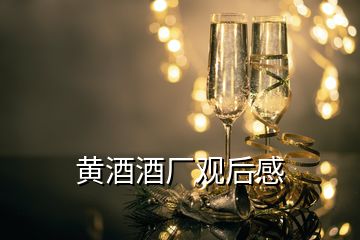 黄酒酒厂观后感