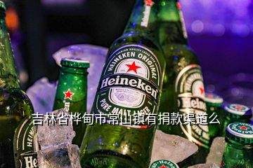 吉林省桦甸市常山镇有捐款渠道么