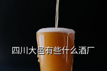 四川大邑有些什么酒厂