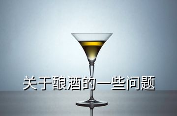 关于酿酒的一些问题
