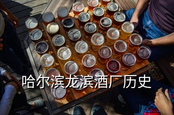 哈尔滨龙滨酒厂历史