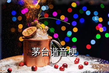 茅台谐音梗