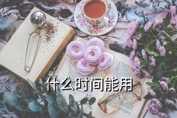 什么时间能用