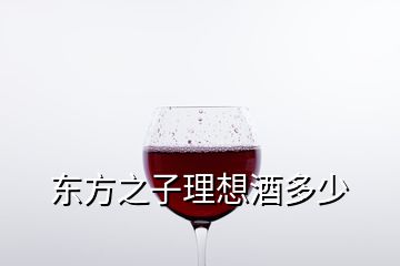 东方之子理想酒多少