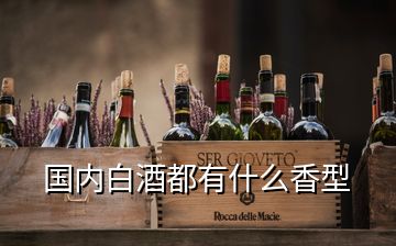 国内白酒都有什么香型