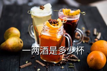 一两酒是多少杯