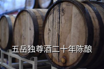 五岳独尊酒二十年陈酿