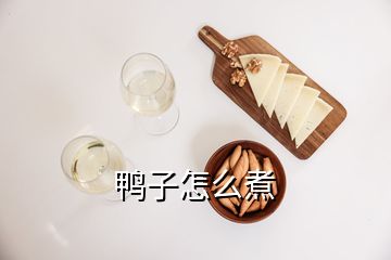 鸭子怎么煮