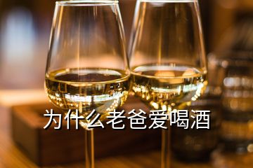 为什么老爸爱喝酒