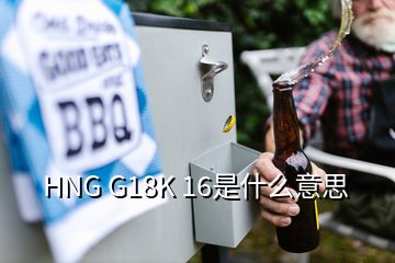 HNG G18K 16是什么意思