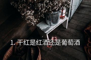 1. 干红是红酒还是葡萄酒