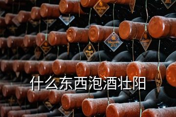 什么东西泡酒壮阳