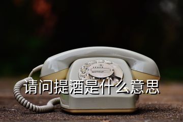 请问提酒是什么意思