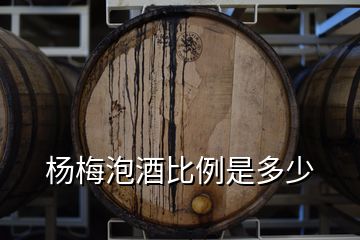 杨梅泡酒比例是多少