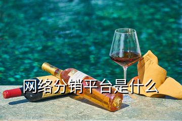 网络分销平台是什么